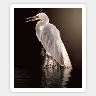 Egret in the shade Sticker